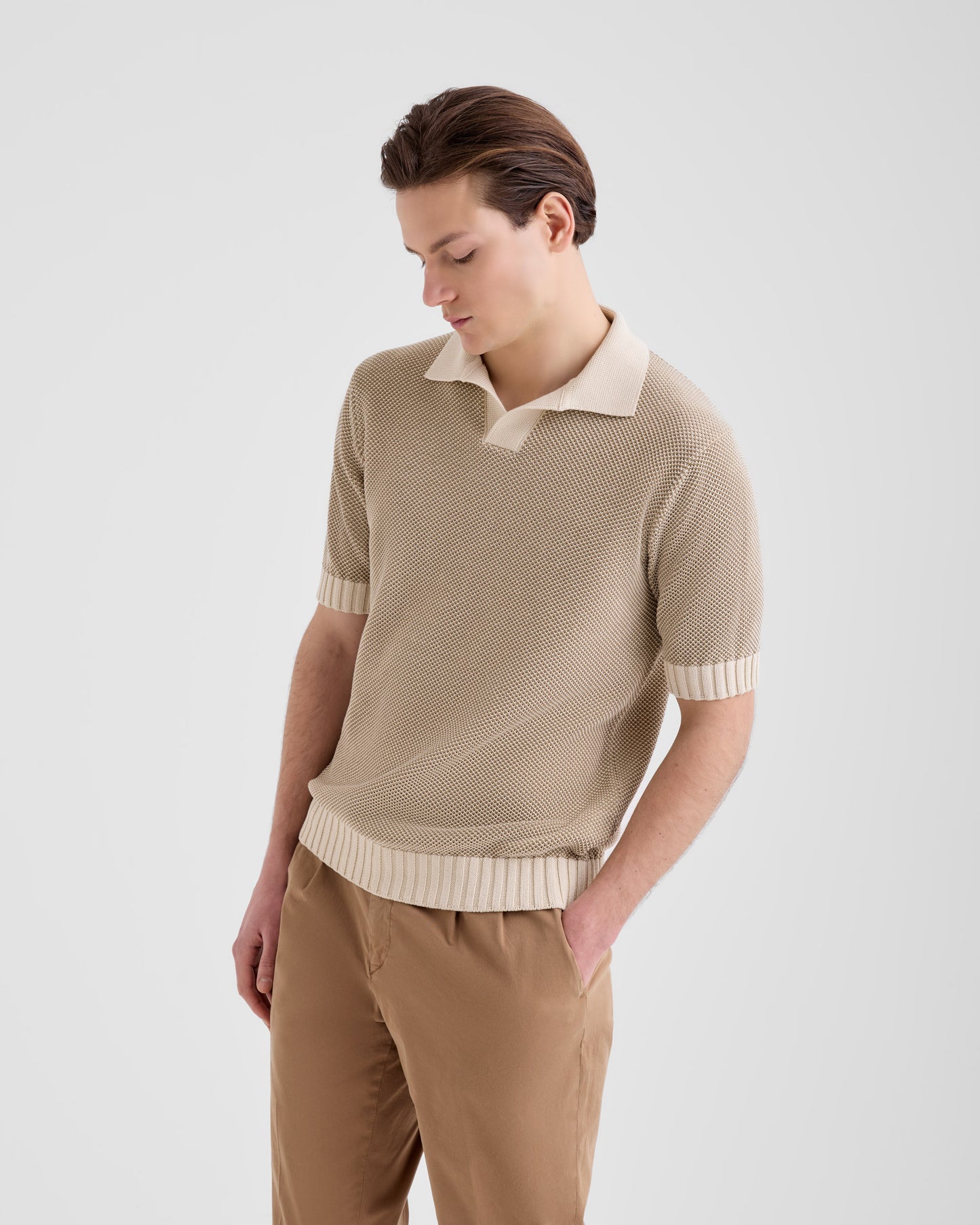 Polo skipper |177373|