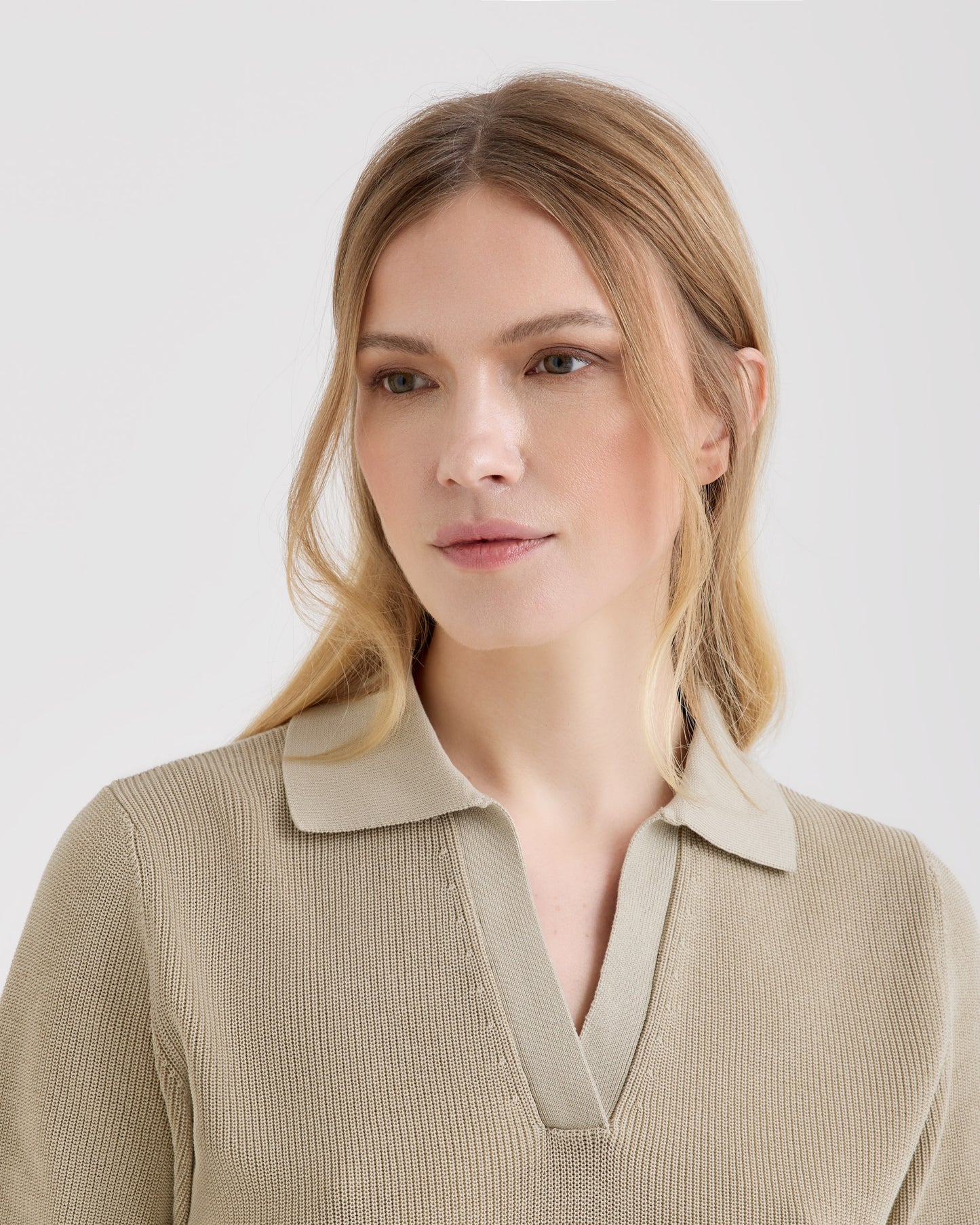Polo skipper |242432|
