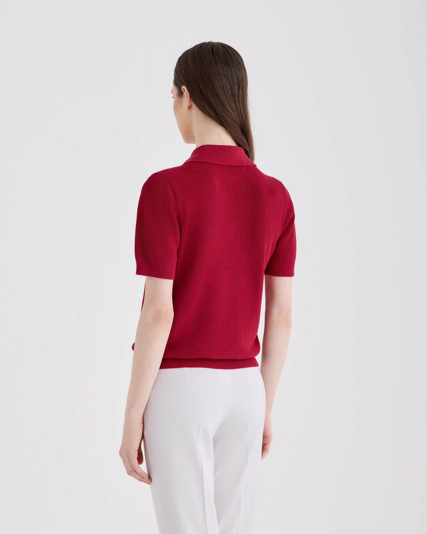 Polo skipper |242327|