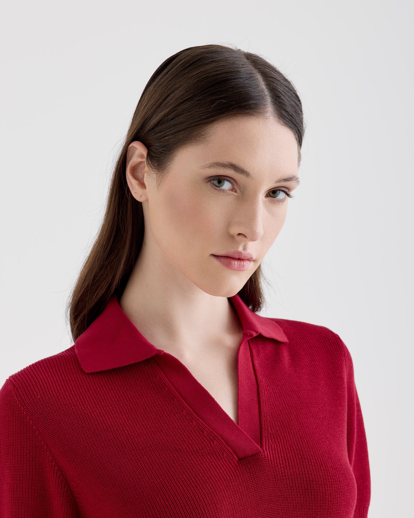 Polo skipper |242433|