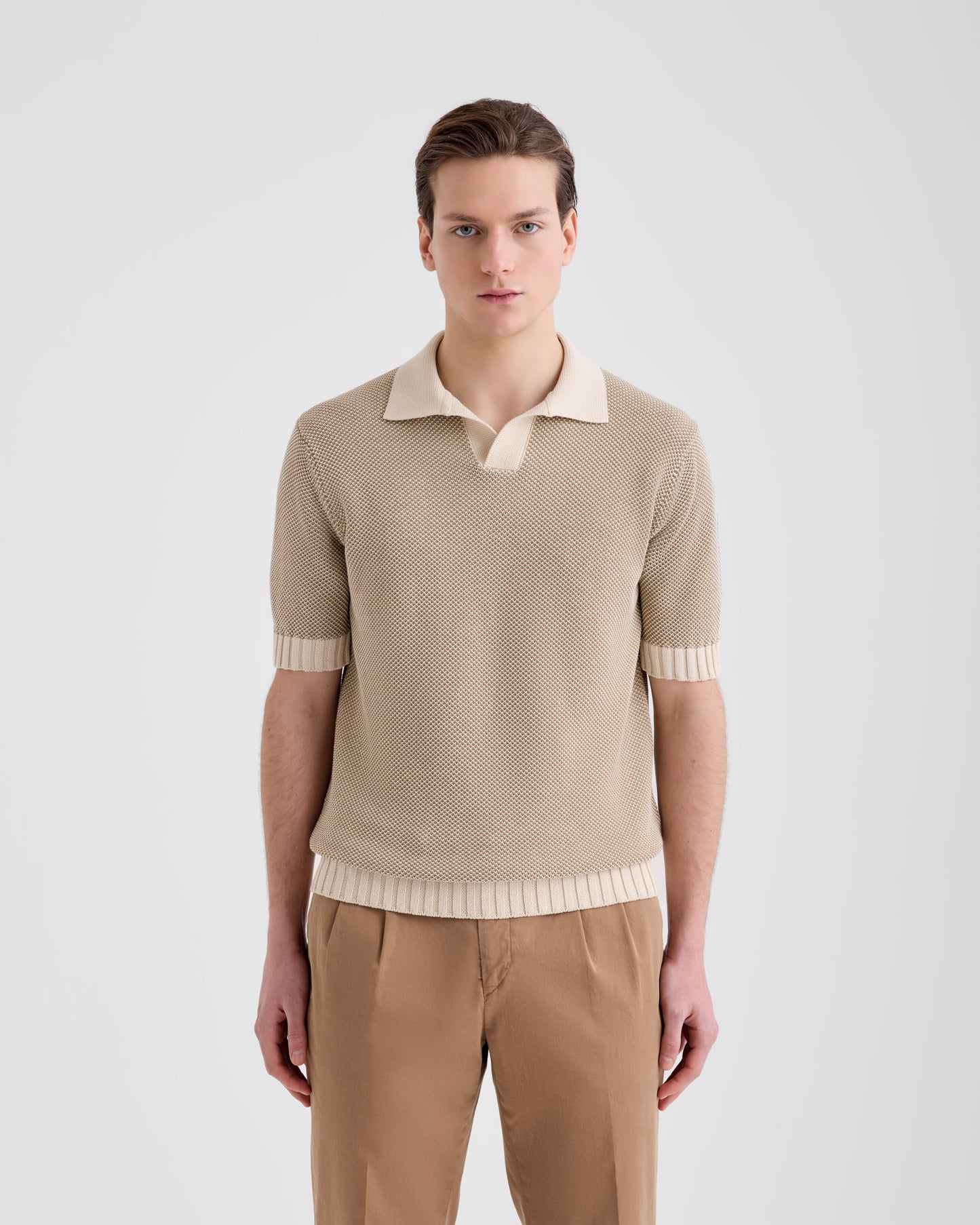 Polo skipper |177193|